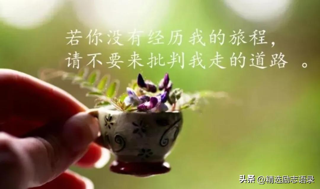 人生感悟经典句子20句，句句智慧豁达!