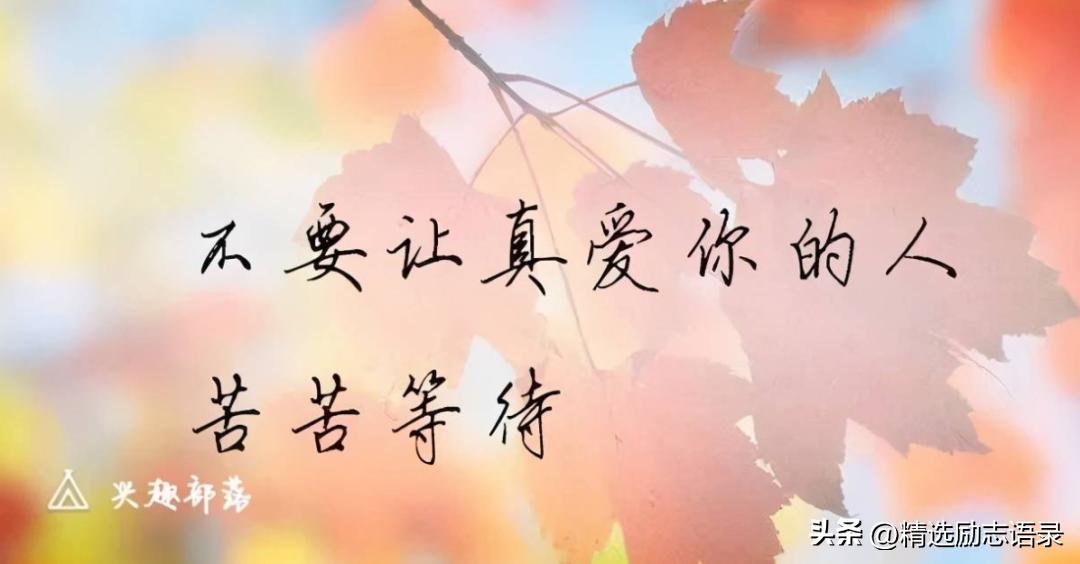 人生感悟经典句子20句，句句智慧豁达!