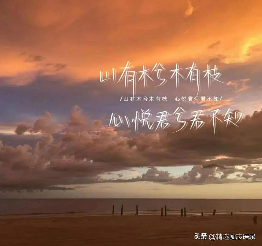 人生感悟经典句子20句，句句智慧豁达!