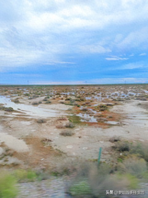 假如我是一朵云优秀作文600字（初中习作）