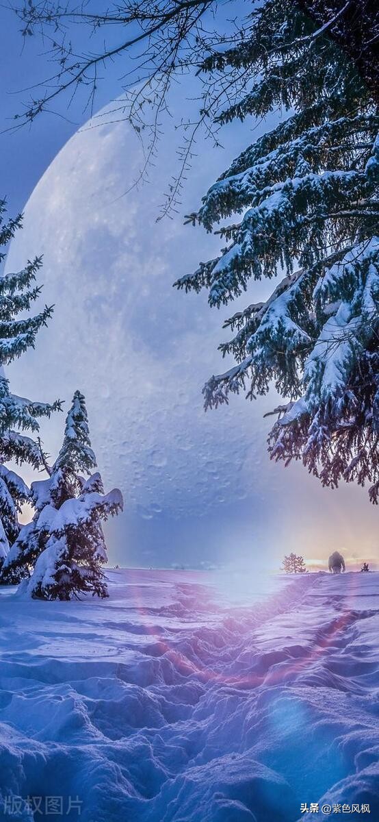 唯美冬天诗句30句，让你的冬日更添诗意