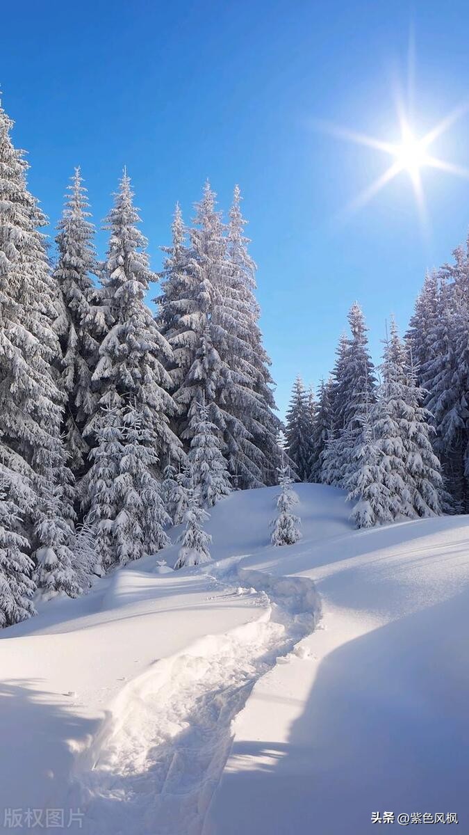 唯美冬天诗句30句，让你的冬日更添诗意