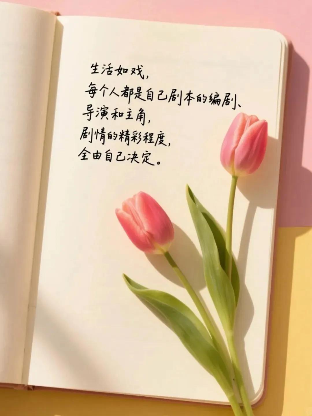 激励奋斗句子16句，点亮你前行的每一步!