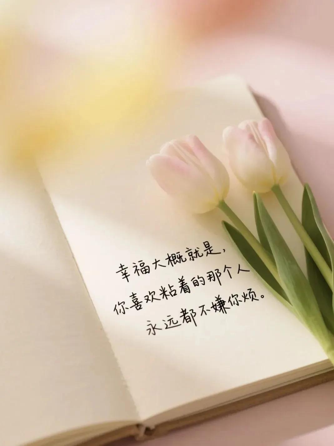 激励奋斗句子16句，点亮你前行的每一步!