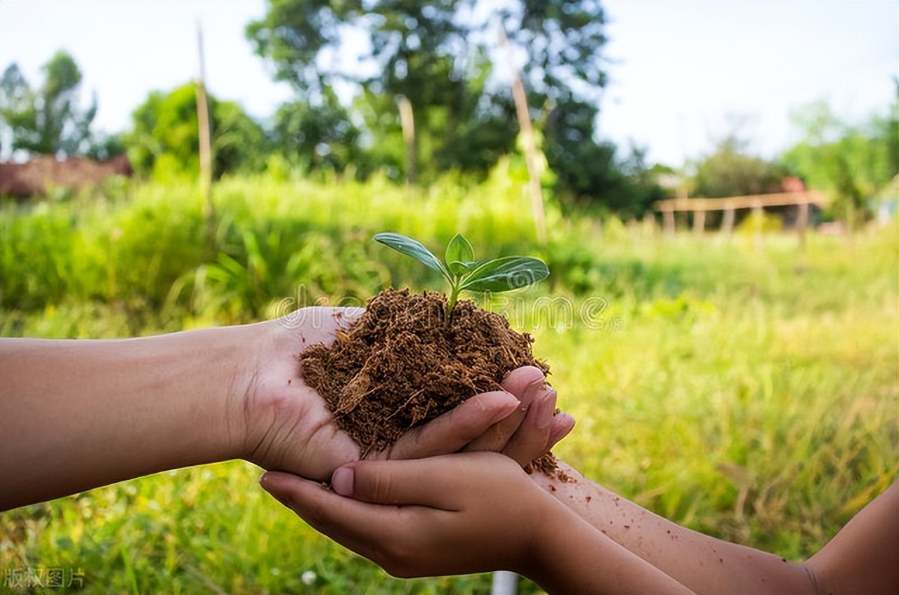 兴趣爱好的唯美句子20句，让生命焕发光彩