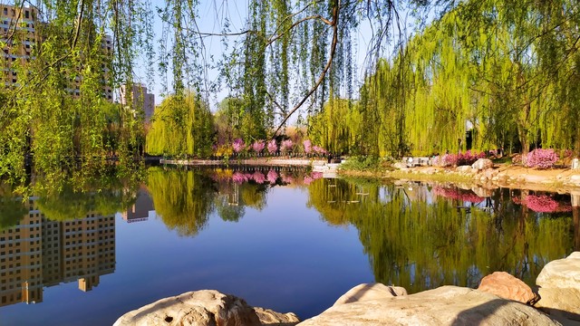 春天来了的优美句子20句，春暖花开，美好如期而至!