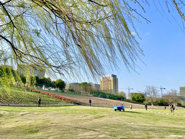 春天来了的优美句子20句，春暖花开，美好如期而至!