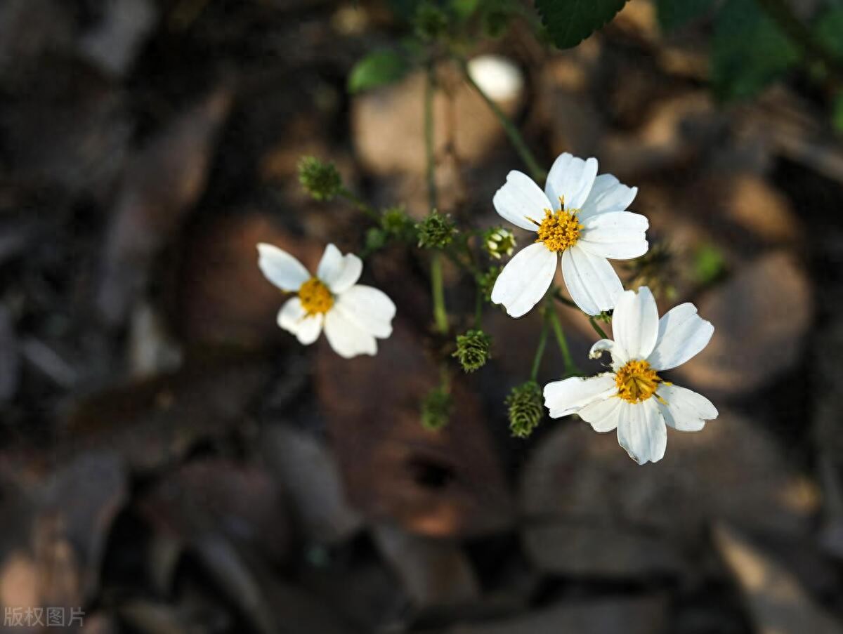 让人心碎的句子25句，简短扎心，触碰泪点!