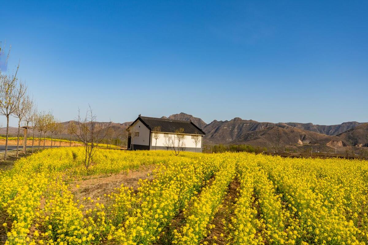 让人心碎的句子25句，简短扎心，触碰泪点!