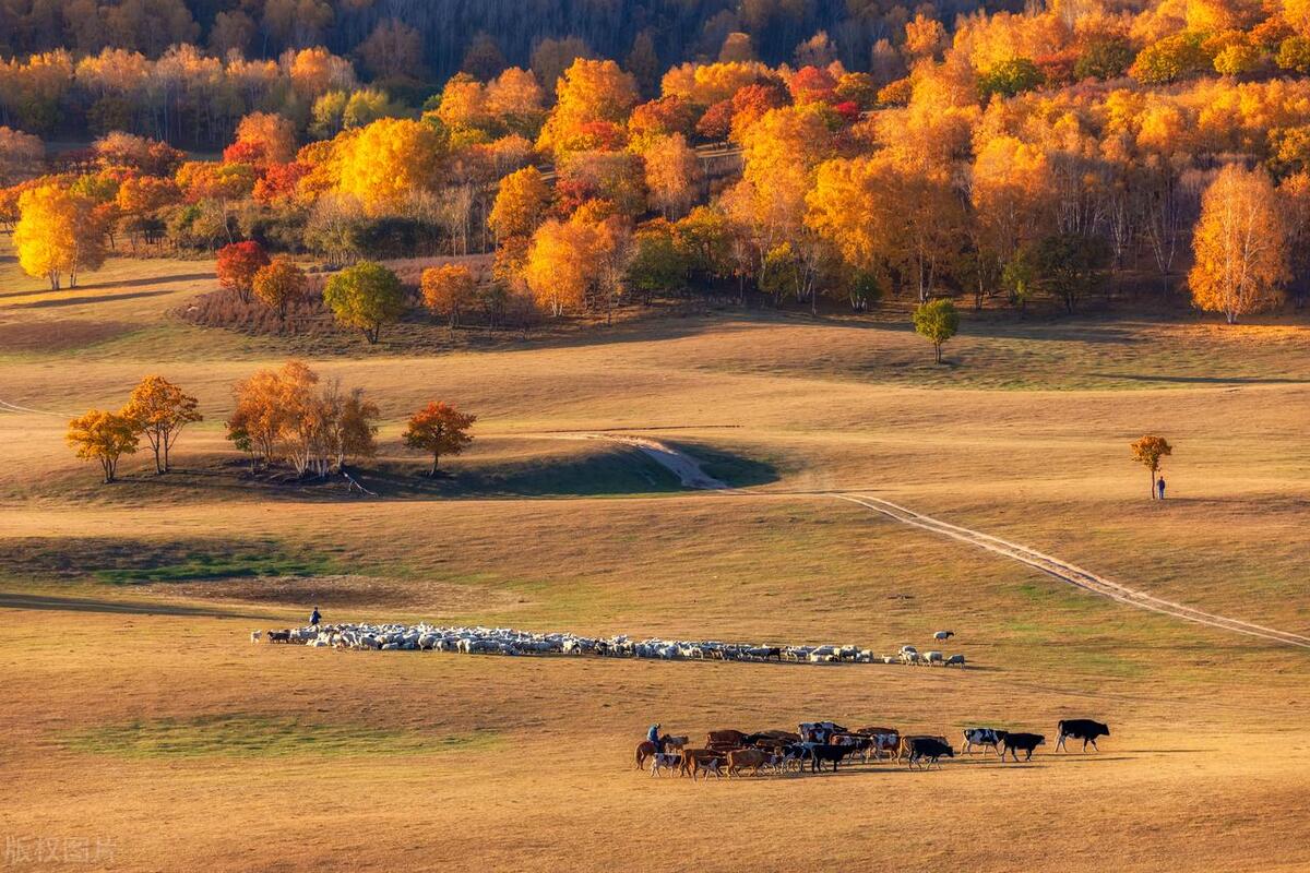 让人心碎的句子25句，简短扎心，触碰泪点!
