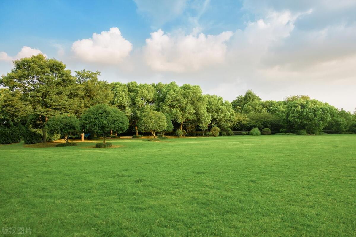让人心碎的句子25句，简短扎心，触碰泪点!
