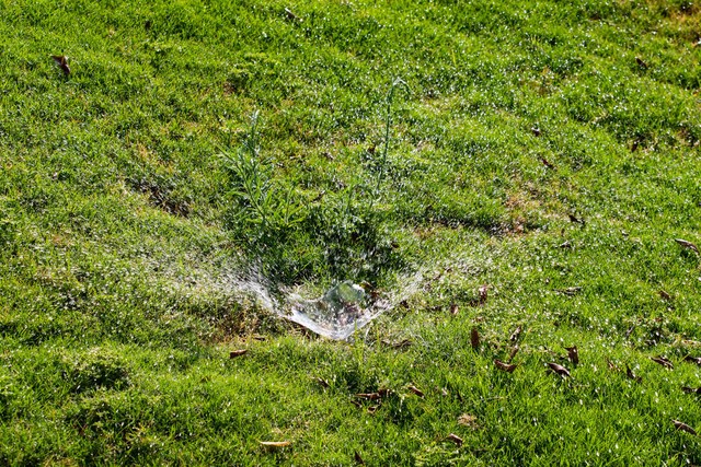 感悟自然的句子15句，唤醒你的灵魂