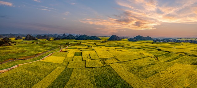 描写景色优美的句子16句，让你心动不已!