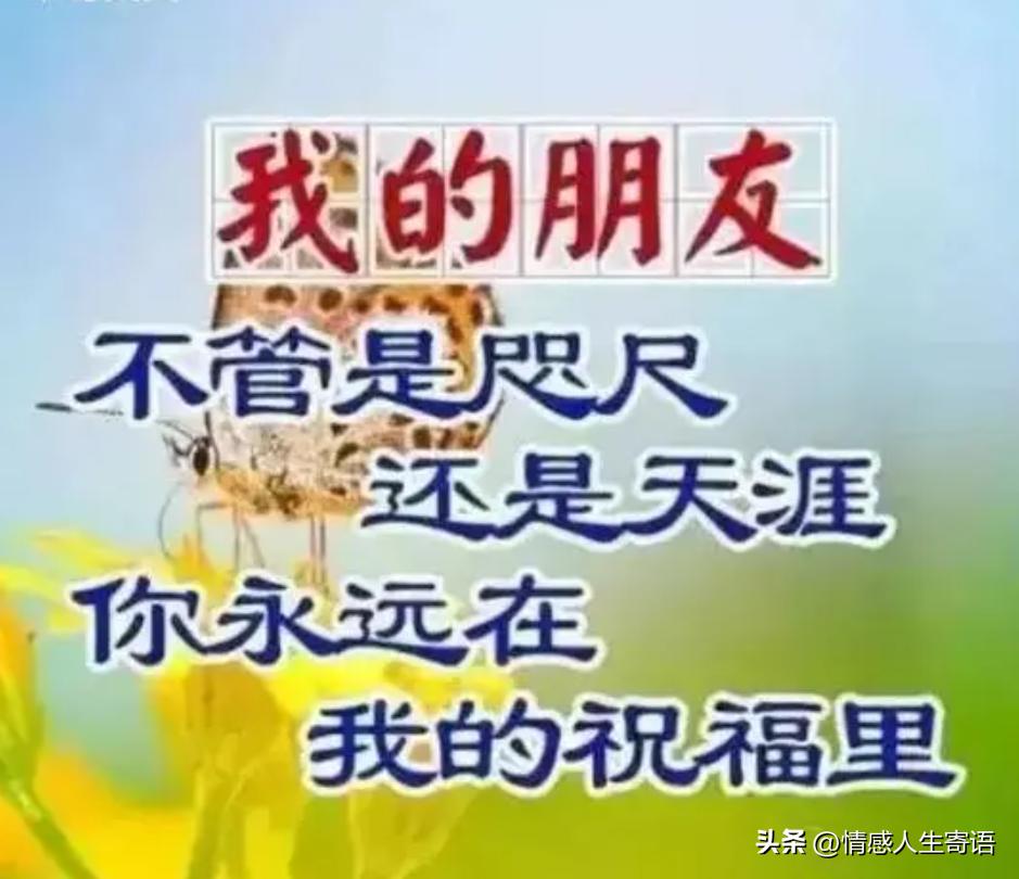 一辈子朋友的经典句子14句，幸福滋润，友情永存