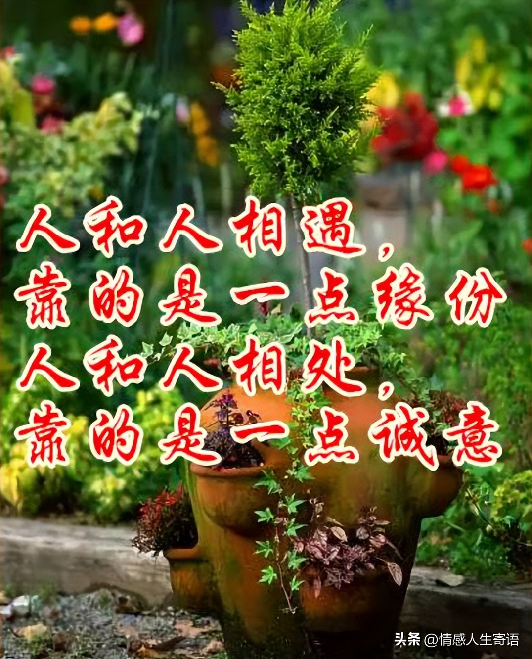 一辈子朋友的经典句子14句，幸福滋润，友情永存