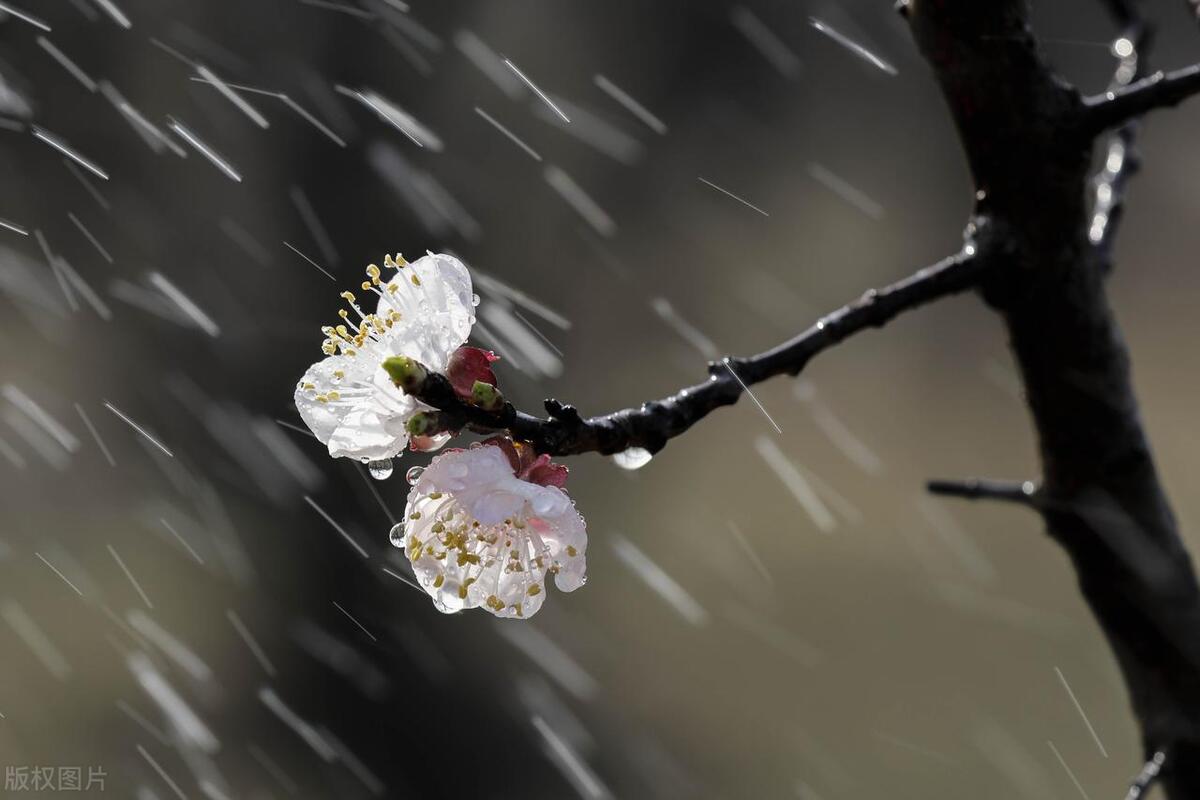 描写雨的诗句唯美5首，清新了整个夏天