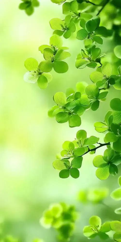 夏天的优美诗句10首，美得让人心醉