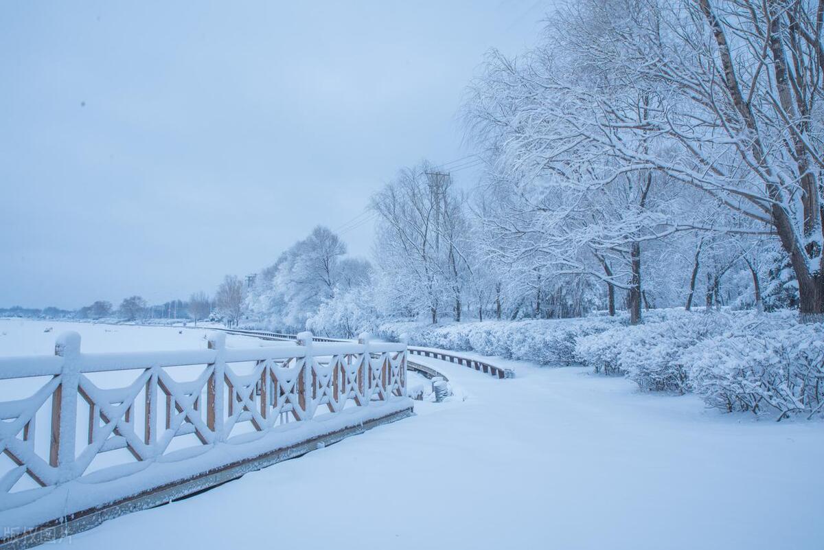 关于雪的浪漫句子20句，雪是大浪漫，你是小人间