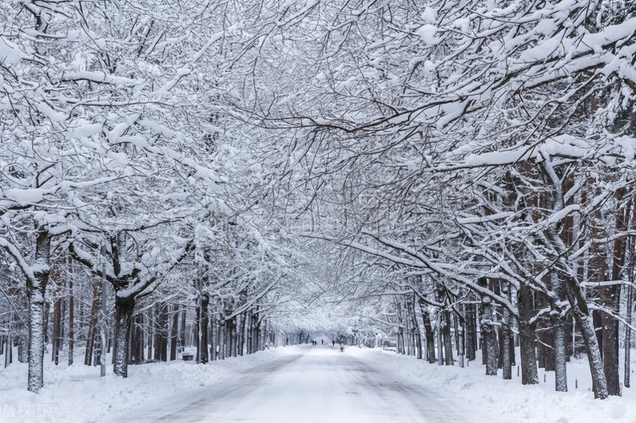 关于雪的浪漫句子20句，雪是大浪漫，你是小人间