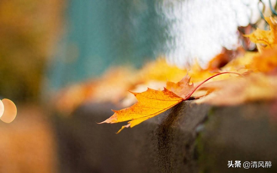 个性签名伤感短句19句，深入人心，感悟超深