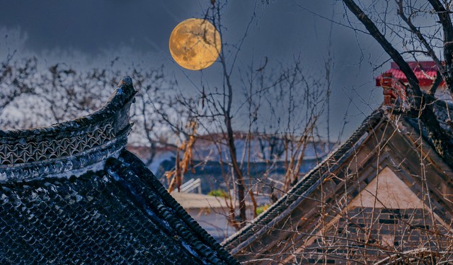 异乡思念家乡的诗句10句，献给无法归家的你！