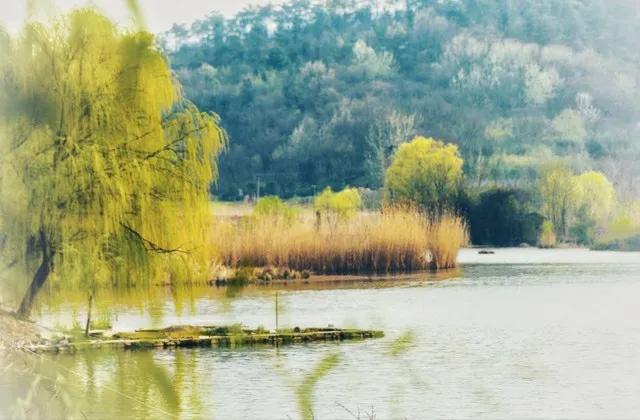 活出自己的霸道句子，适合有个性的你