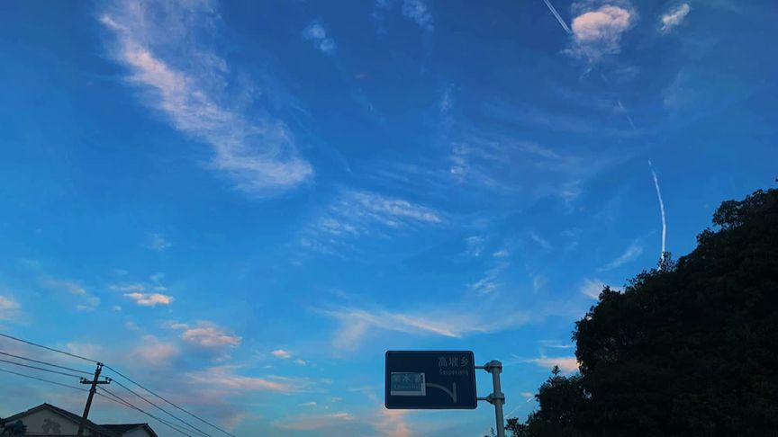 友情永存的句子19句，体会岁月中的真情与温暖