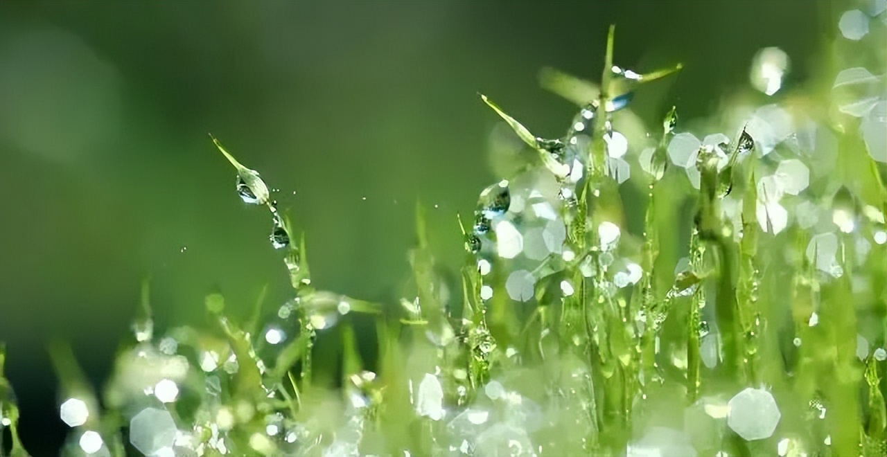 经典情感语录20句，经典有韵味，句句扎心