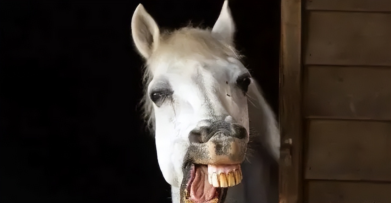 经典情感语录20句，经典有韵味，句句扎心