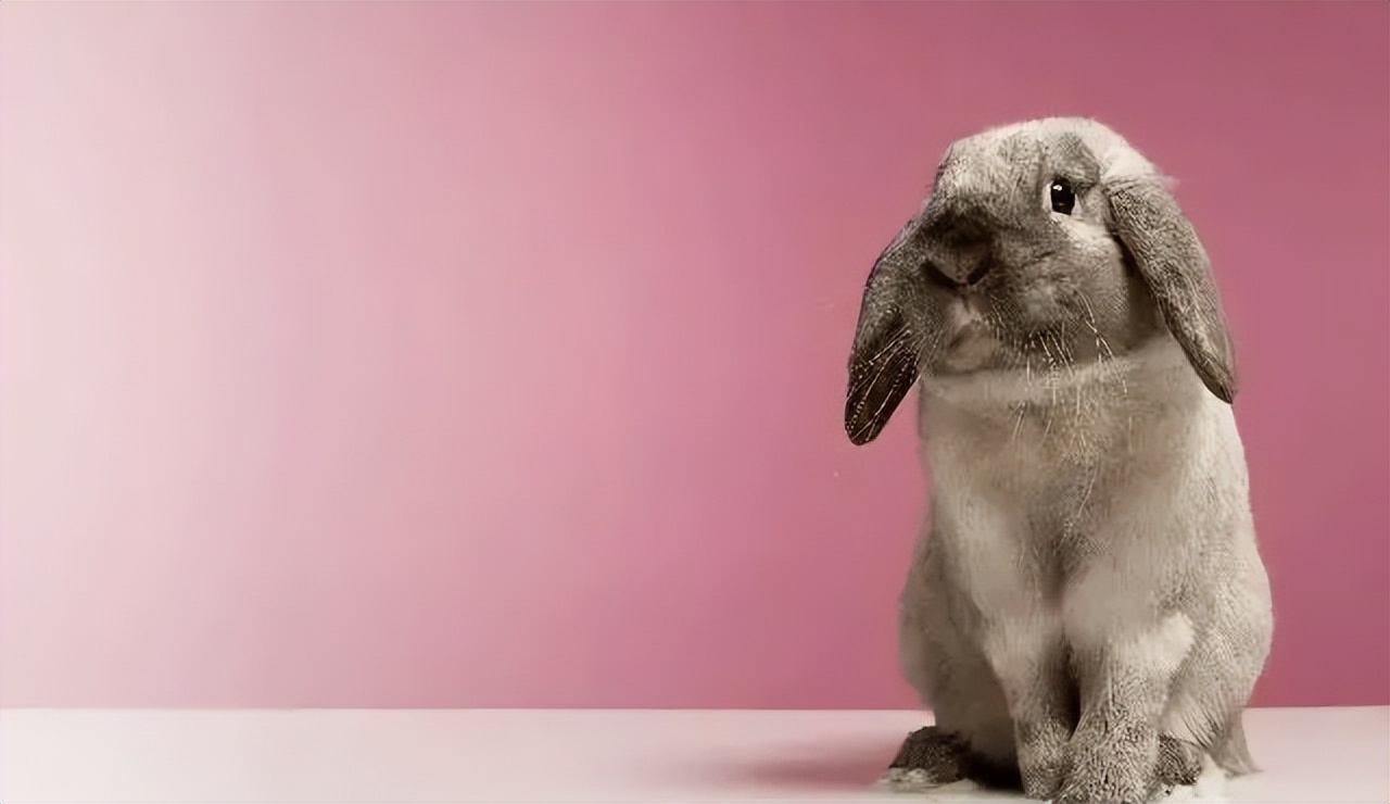 经典情感语录20句，经典有韵味，句句扎心