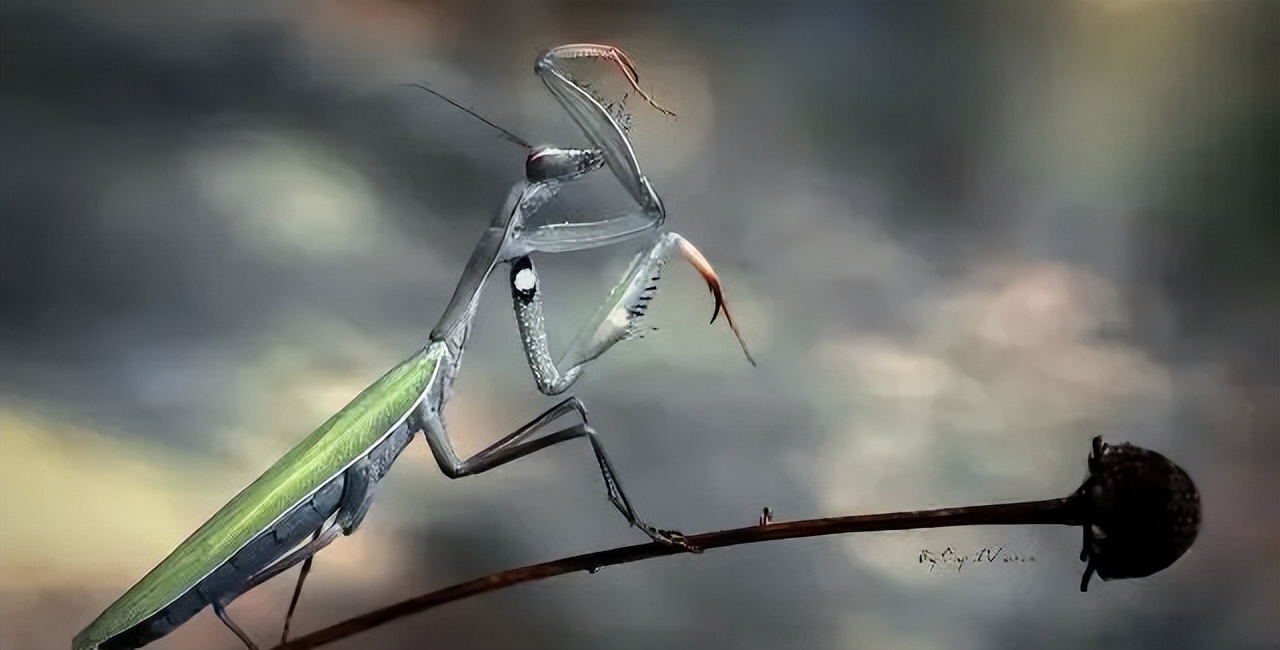 经典情感语录20句，经典有韵味，句句扎心