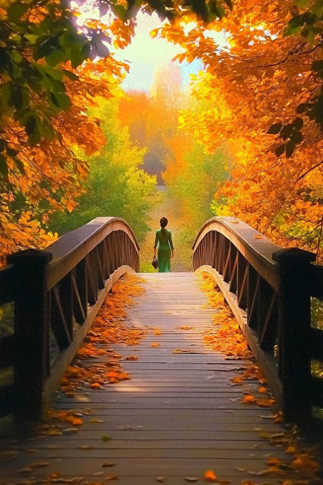 描写秋天的句子10句，解锁秋天的美好