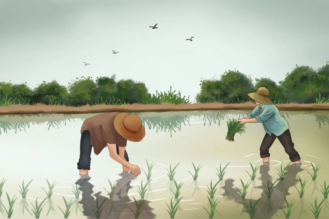 关于劳动的名言诗句30句，致敬最美劳动者