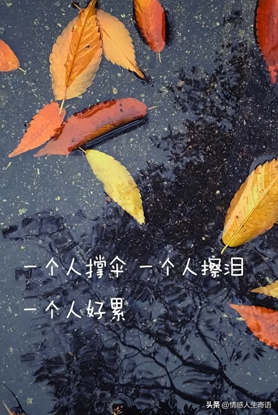 伤感的句子短句14句，句句触碰泪点!