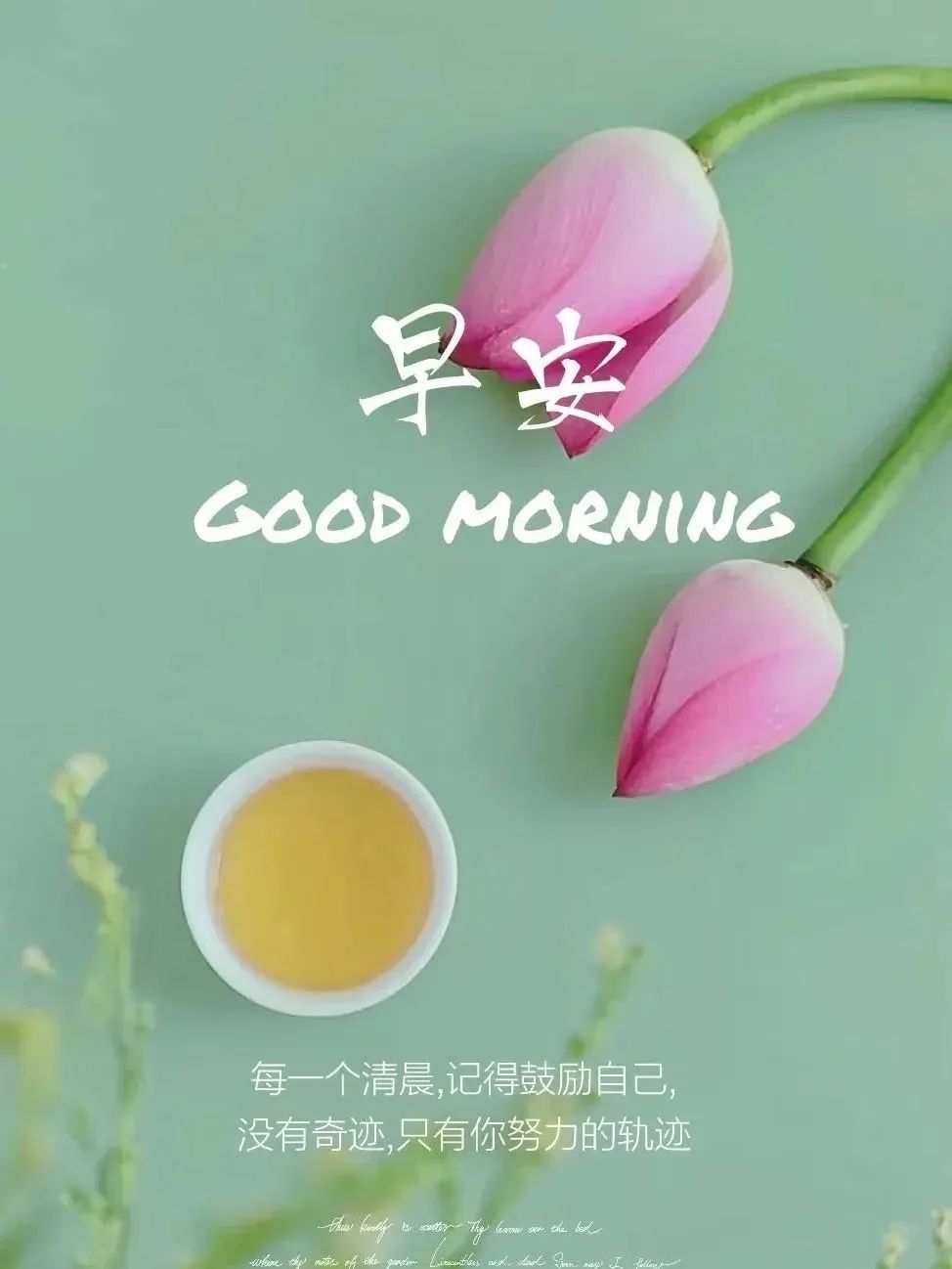 激励人心正能量的句子16句，句句鼓舞人心