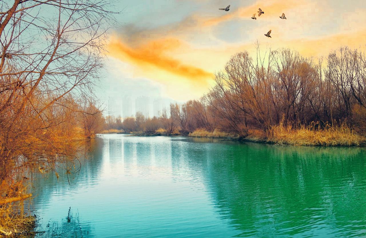 暖心句子语录21句，治愈今天的你