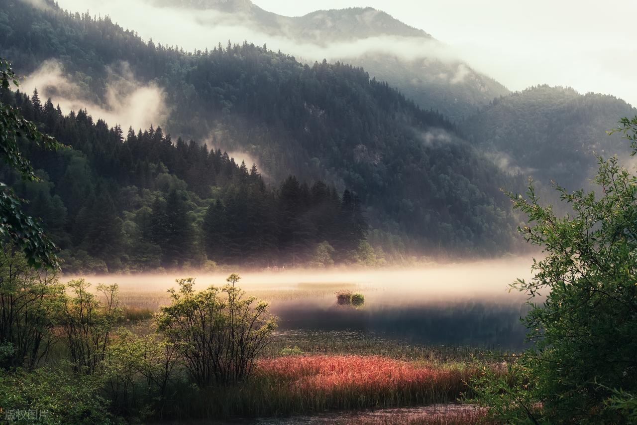 暖心句子语录21句，治愈今天的你