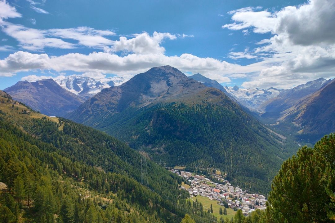 努力的句子经典语录20句，句句激励我们努力前行