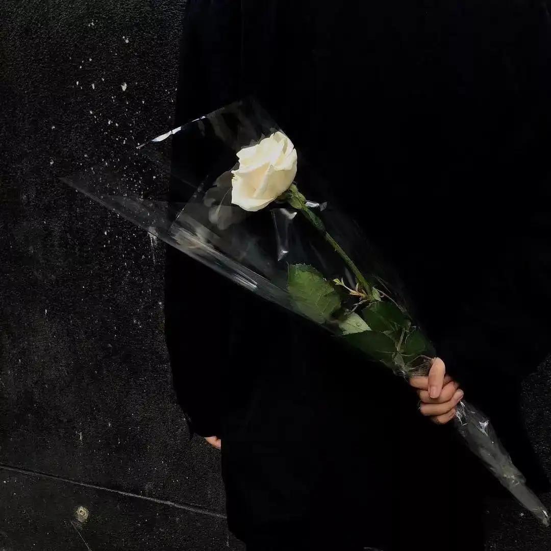 表达爱的句子14句，哪一句最让你心动