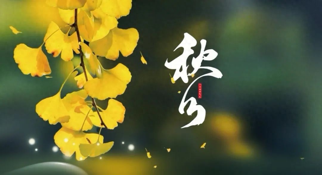 秋分的古诗5首，邂逅秋天的宁静与美好