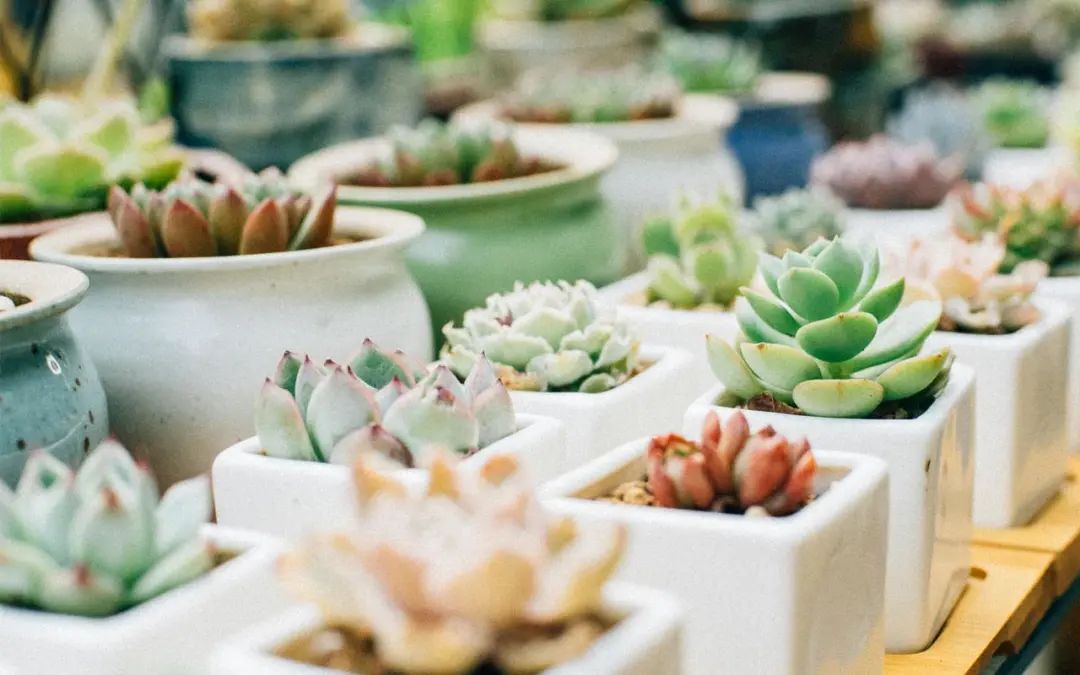 致童年唯美句子27句，唤醒心中的美好