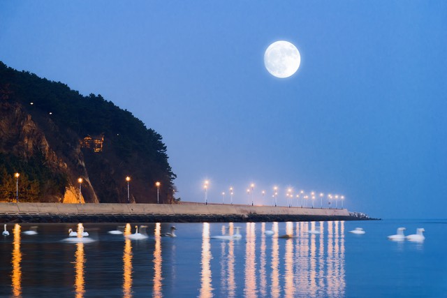 有关月亮的古诗7首，共赏经典里的月色