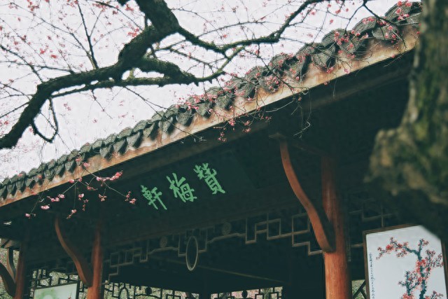 描写梅花的古诗词10首，字字写尽梅花风情