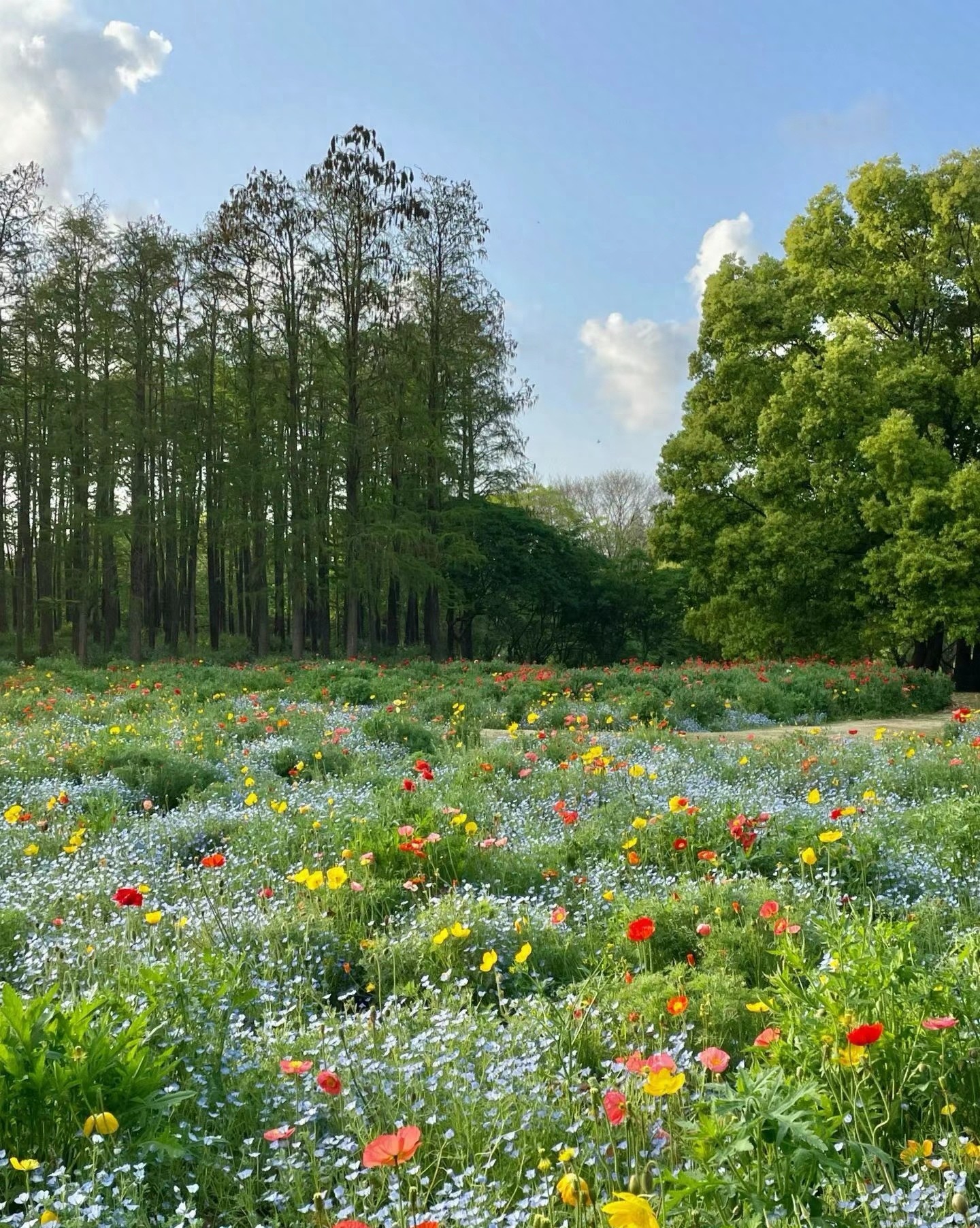 七夕快乐的句子20句，很走心很暖的浪漫文案