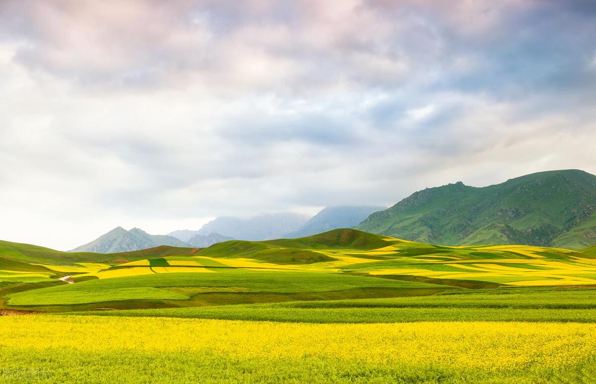 女人气质的句子21句，瞬间提升你的魅力!