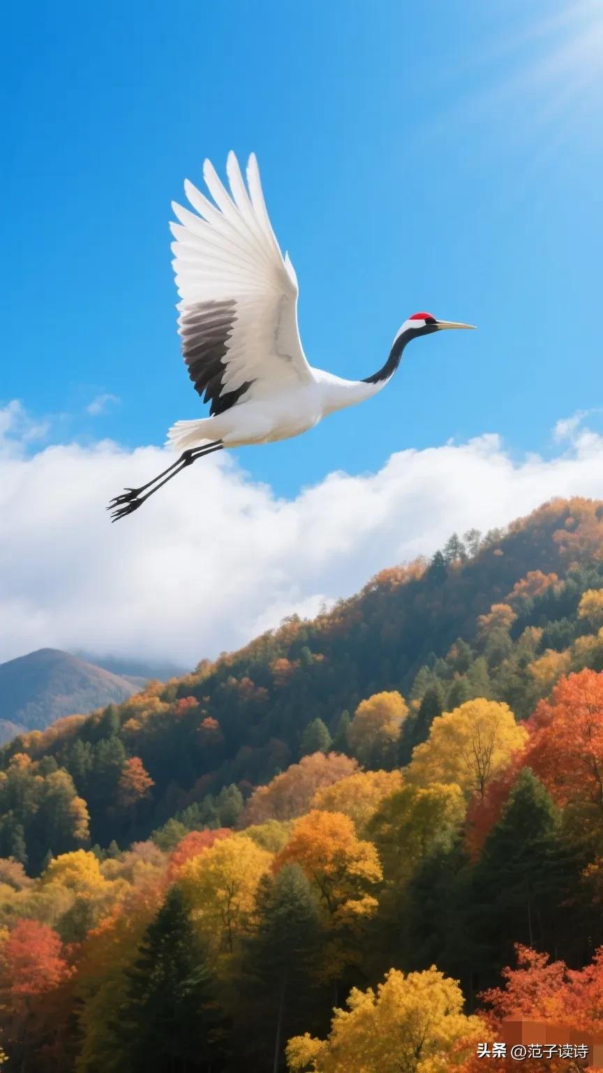 写秋天的诗句古诗10首，解锁秋天的诗情画意