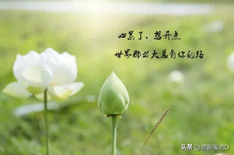 伤感情感语录短句11句，触动你的小情绪!