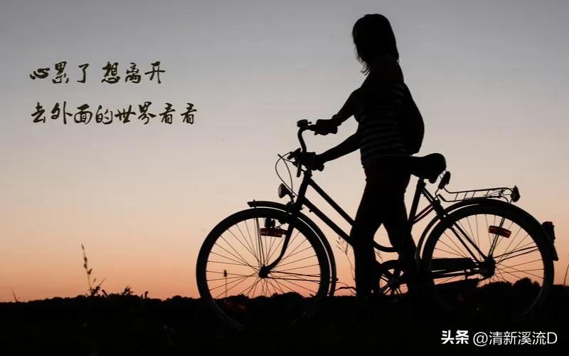 伤感情感语录短句11句，触动你的小情绪!