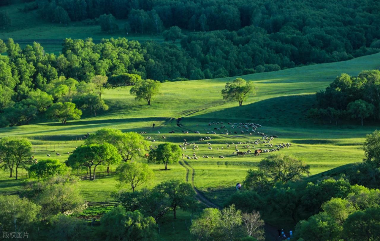 神仙治愈系文案句子12句，句句治愈，句句经典