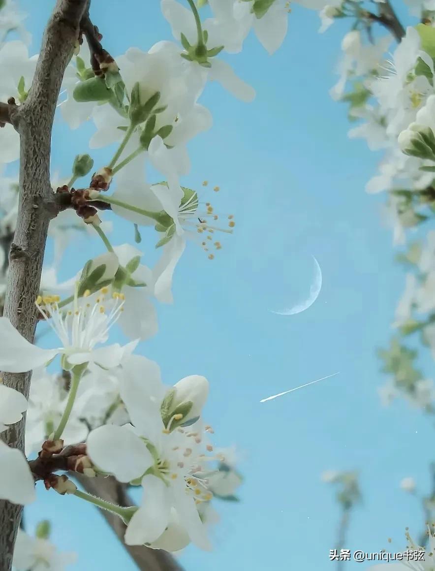 好句摘抄10句，越读越清醒